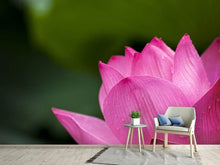 Load image into Gallery viewer, Photo Wallpaper Marko Lotus in pink

