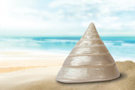 Photo Wallpaper Marine snail XXL