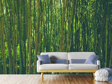 Load image into Gallery viewer, Photo Wallpaper In the middle of the bamboo
