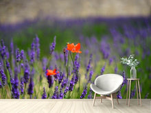 Load image into Gallery viewer, Photo Wallpaper Poppy in the lavender
