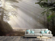 Load image into Gallery viewer, Photo Wallpaper Mystical light in the forest
