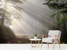 Load image into Gallery viewer, Photo Wallpaper Mystical light in the forest

