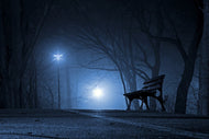 Photo Wallpaper At night in the park