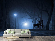 Load image into Gallery viewer, Photo Wallpaper At night in the park
