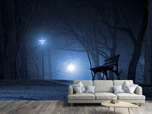 Load image into Gallery viewer, Photo Wallpaper At night in the park
