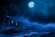 Photo Wallpaper At night in the woods