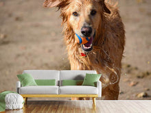 Load image into Gallery viewer, Photo Wallpaper Wet dog
