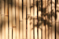 Photo Wallpaper Natural bamboo