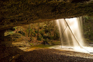 Photo Wallpaper Nature shower
