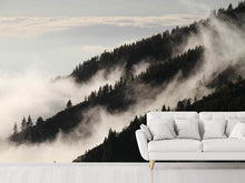Load image into Gallery viewer, Photo Wallpaper Fog in the woods
