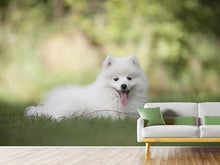Load image into Gallery viewer, Photo Wallpaper Cute spitz puppy
