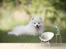 Load image into Gallery viewer, Photo Wallpaper Cute spitz puppy

