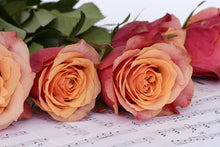 Load image into Gallery viewer, Photo Wallpaper Notes of love
