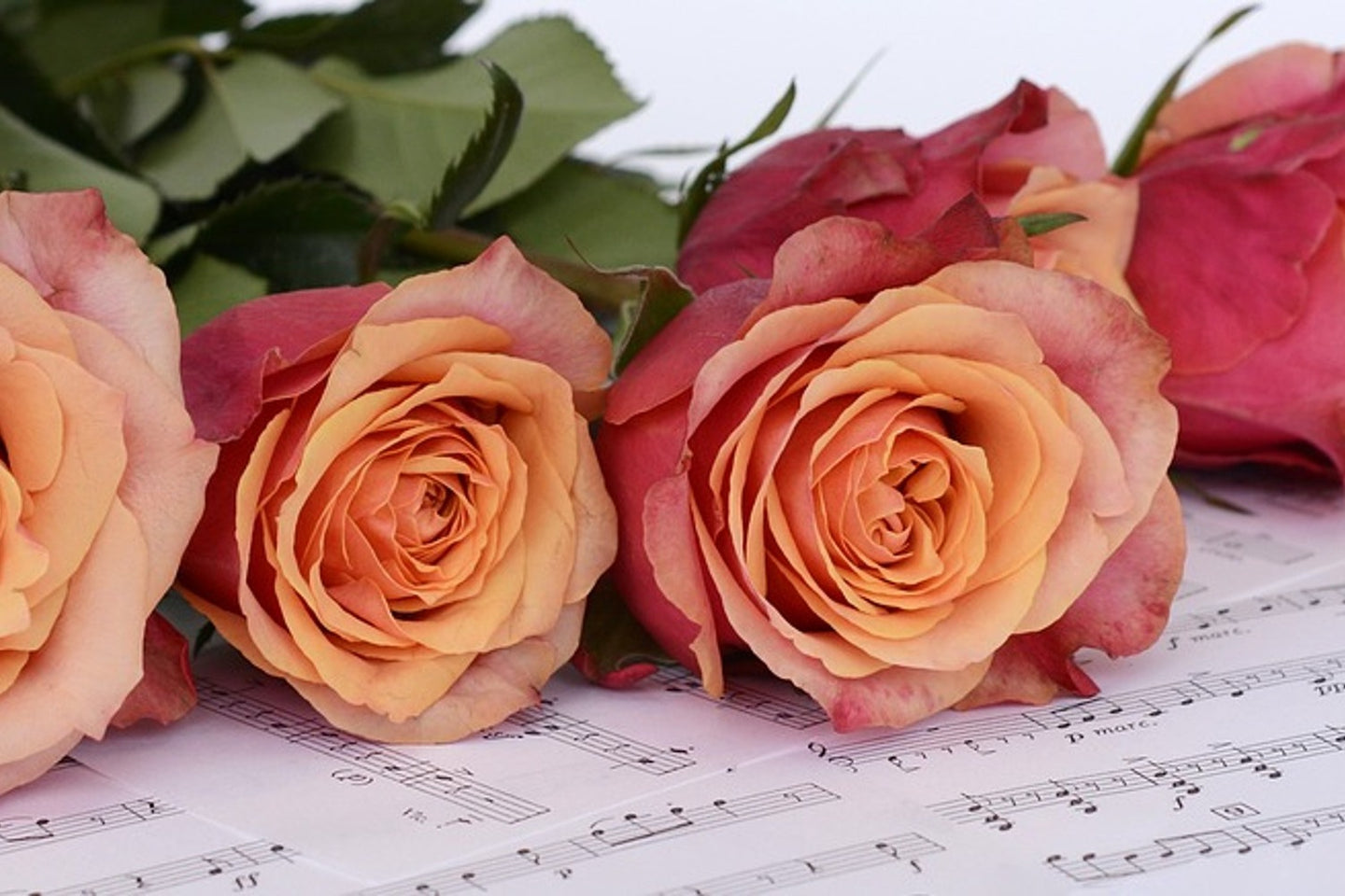 Photo Wallpaper Notes of love