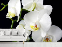 Load image into Gallery viewer, Photo Wallpaper Orchid close up
