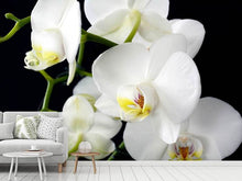 Load image into Gallery viewer, Photo Wallpaper Orchid close up
