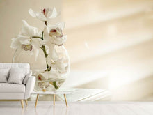 Load image into Gallery viewer, Photo Wallpaper Orchid in the glass
