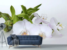 Load image into Gallery viewer, Photo Wallpaper Orchid and bamboo

