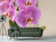 Load image into Gallery viewer, Photo Wallpaper Orchids with purple flowers in XL
