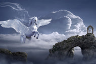 Photo Wallpaper Pegasus