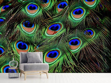 Load image into Gallery viewer, Photo Wallpaper Peacock feathers XXL

