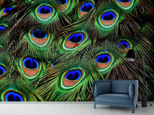 Load image into Gallery viewer, Photo Wallpaper Peacock feathers XXL
