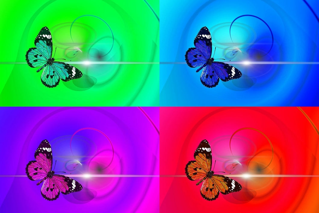 Photo Wallpaper Pop Art Colorful Butterfly