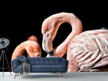 Load image into Gallery viewer, Photo Wallpaper Magnificent flamingos
