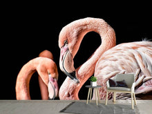 Load image into Gallery viewer, Photo Wallpaper Magnificent flamingos
