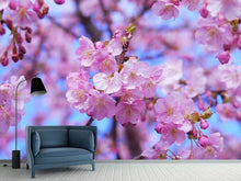 Load image into Gallery viewer, Photo Wallpaper Gorgeous cherry blossom
