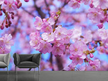Load image into Gallery viewer, Photo Wallpaper Gorgeous cherry blossom
