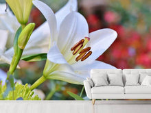 Load image into Gallery viewer, Photo Wallpaper Magnificent lily in white
