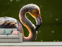 Load image into Gallery viewer, Photo Wallpaper Gorgeous bird
