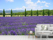 Load image into Gallery viewer, Photo Wallpaper Magnificent lavender field
