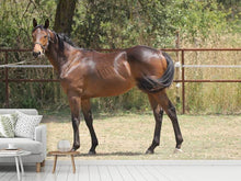 Load image into Gallery viewer, Photo Wallpaper Magnificent thoroughbred

