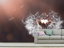 Load image into Gallery viewer, Photo Wallpaper Dandelion in the evening light
