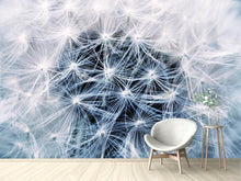 Load image into Gallery viewer, Photo Wallpaper Ripe dandelion Close up
