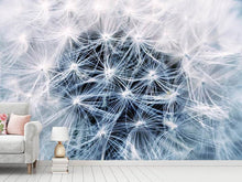 Load image into Gallery viewer, Photo Wallpaper Ripe dandelion Close up
