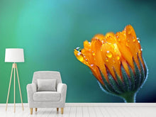 Load image into Gallery viewer, Photo Wallpaper Marigold in morning dew
