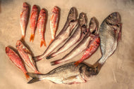 Photo Wallpaper Raw fish 2