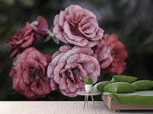 Load image into Gallery viewer, Photo Wallpaper Romantic roses
