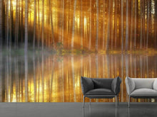 Load image into Gallery viewer, Photo Wallpaper Romantic mood in the forest

