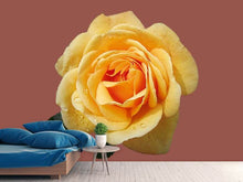 Load image into Gallery viewer, Photo Wallpaper Rose in yellow XXL
