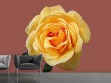 Load image into Gallery viewer, Photo Wallpaper Rose in yellow XXL
