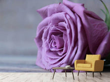 Load image into Gallery viewer, Photo Wallpaper Rose in purple XXL
