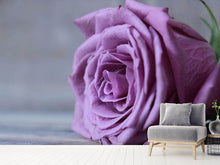 Load image into Gallery viewer, Photo Wallpaper Rose in purple XXL
