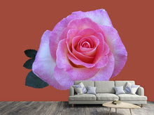 Load image into Gallery viewer, Photo Wallpaper Rose in pink XXL
