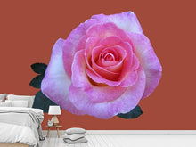 Load image into Gallery viewer, Photo Wallpaper Rose in pink XXL

