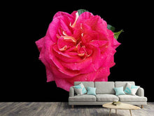 Load image into Gallery viewer, Photo Wallpaper Rose in red XXL
