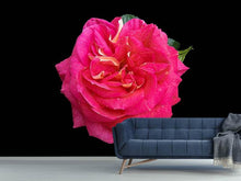 Load image into Gallery viewer, Photo Wallpaper Rose in red XXL
